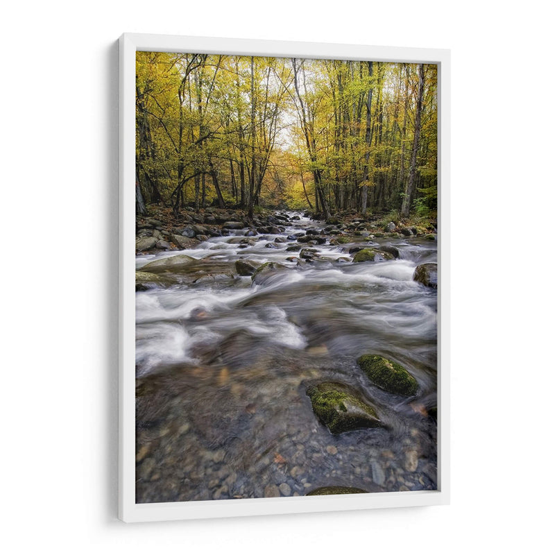 Roaring Waters Ii - Danny Head | Cuadro decorativo de Canvas Lab