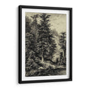 Abeto Noble - Ernst Heyn | Cuadro decorativo de Canvas Lab