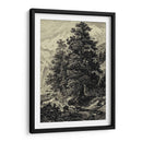 Ararlla Pino - Ernst Heyn | Cuadro decorativo de Canvas Lab