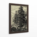 Ararlla Pino - Ernst Heyn | Cuadro decorativo de Canvas Lab