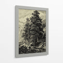 Ararlla Pino - Ernst Heyn | Cuadro decorativo de Canvas Lab