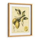 Petite Fruits Toscanos Ii - Vision Studio | Cuadro decorativo de Canvas Lab