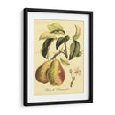 Petite Fruits Toscanos Iv - Vision Studio | Cuadro decorativo de Canvas Lab