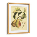 Petite Fruits Toscanos Iv - Vision Studio | Cuadro decorativo de Canvas Lab