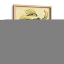 Petite Fruits Toscanos Iv - Vision Studio | Cuadro decorativo de Canvas Lab