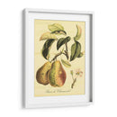 Petite Fruits Toscanos Iv - Vision Studio | Cuadro decorativo de Canvas Lab