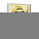 Petite Fruits Toscanos Iv - Vision Studio | Cuadro decorativo de Canvas Lab