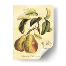 Petite Fruits Toscanos Iv - Vision Studio | Cuadro decorativo de Canvas Lab