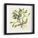 Rama De Muérdago - Vision Studio | Cuadro decorativo de Canvas Lab