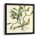 Rama De Muérdago - Vision Studio | Cuadro decorativo de Canvas Lab