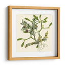 Rama De Muérdago - Vision Studio | Cuadro decorativo de Canvas Lab