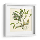 Rama De Muérdago - Vision Studio | Cuadro decorativo de Canvas Lab