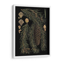 Pequeñas Coníferas Dramáticas Iii - Vision Studio | Cuadro decorativo de Canvas Lab