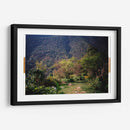 Pradera de Cola de Caballo - Raúl Ruz | Cuadro decorativo de Canvas Lab