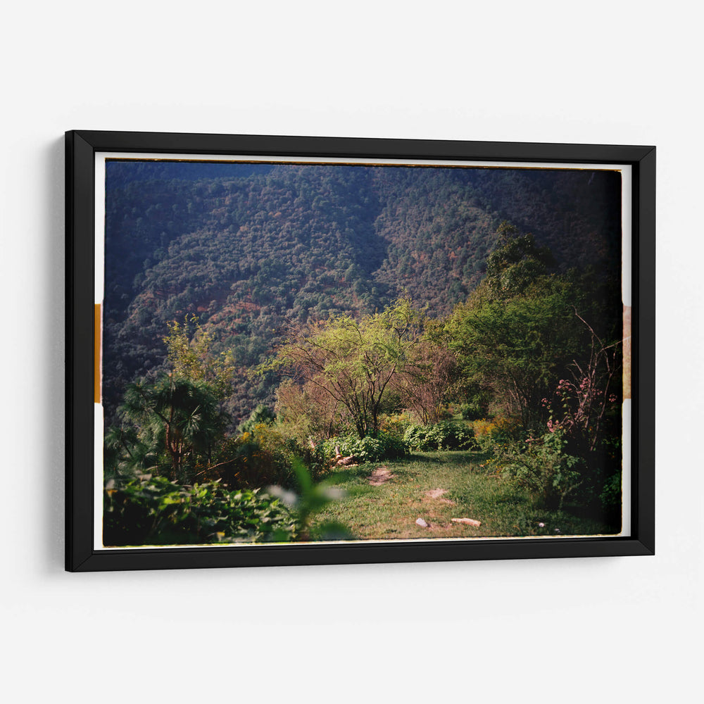 Pradera de Cola de Caballo - Raúl Ruz | Cuadro decorativo de Canvas Lab
