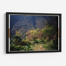 Pradera de Cola de Caballo - Raúl Ruz | Cuadro decorativo de Canvas Lab