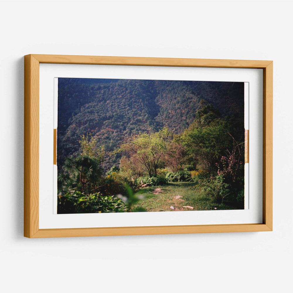 Pradera de Cola de Caballo - Raúl Ruz | Cuadro decorativo de Canvas Lab