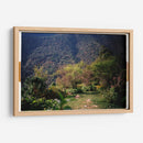 Pradera de Cola de Caballo - Raúl Ruz | Cuadro decorativo de Canvas Lab