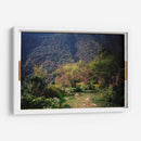 Pradera de Cola de Caballo - Raúl Ruz | Cuadro decorativo de Canvas Lab