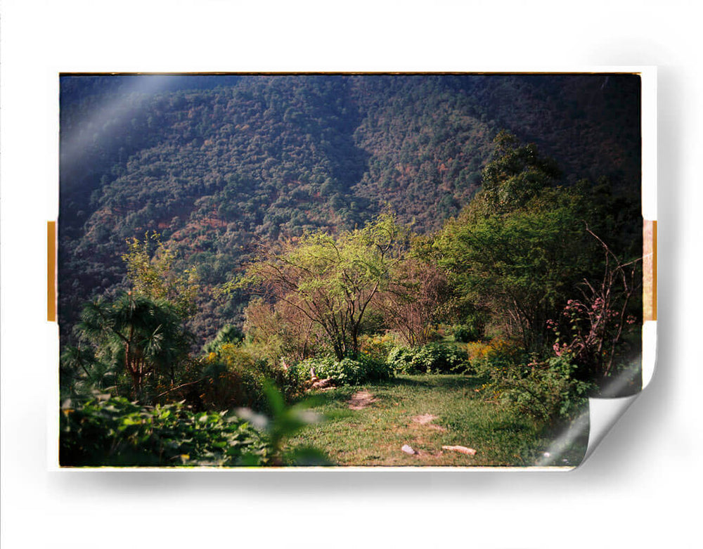 Pradera de Cola de Caballo - Raúl Ruz | Cuadro decorativo de Canvas Lab