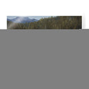 Cruce De Búfalo - Jack Sorenson | Cuadro decorativo de Canvas Lab