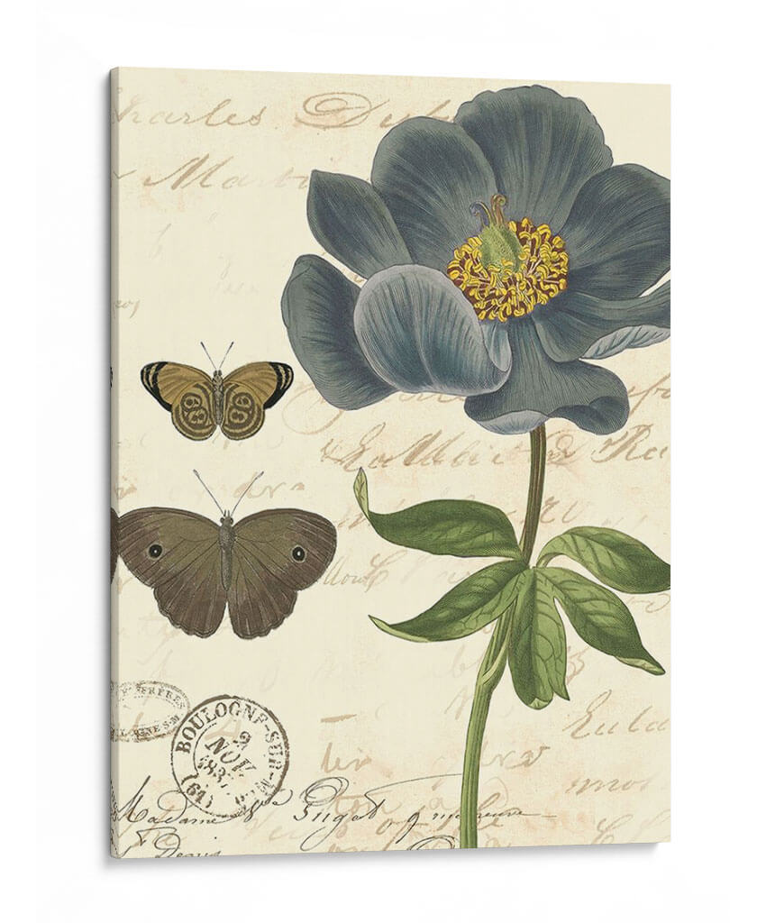 Pequeño Vintage Floral I - Vision Studio | Cuadro decorativo de Canvas Lab