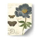 Pequeño Vintage Floral I - Vision Studio | Cuadro decorativo de Canvas Lab
