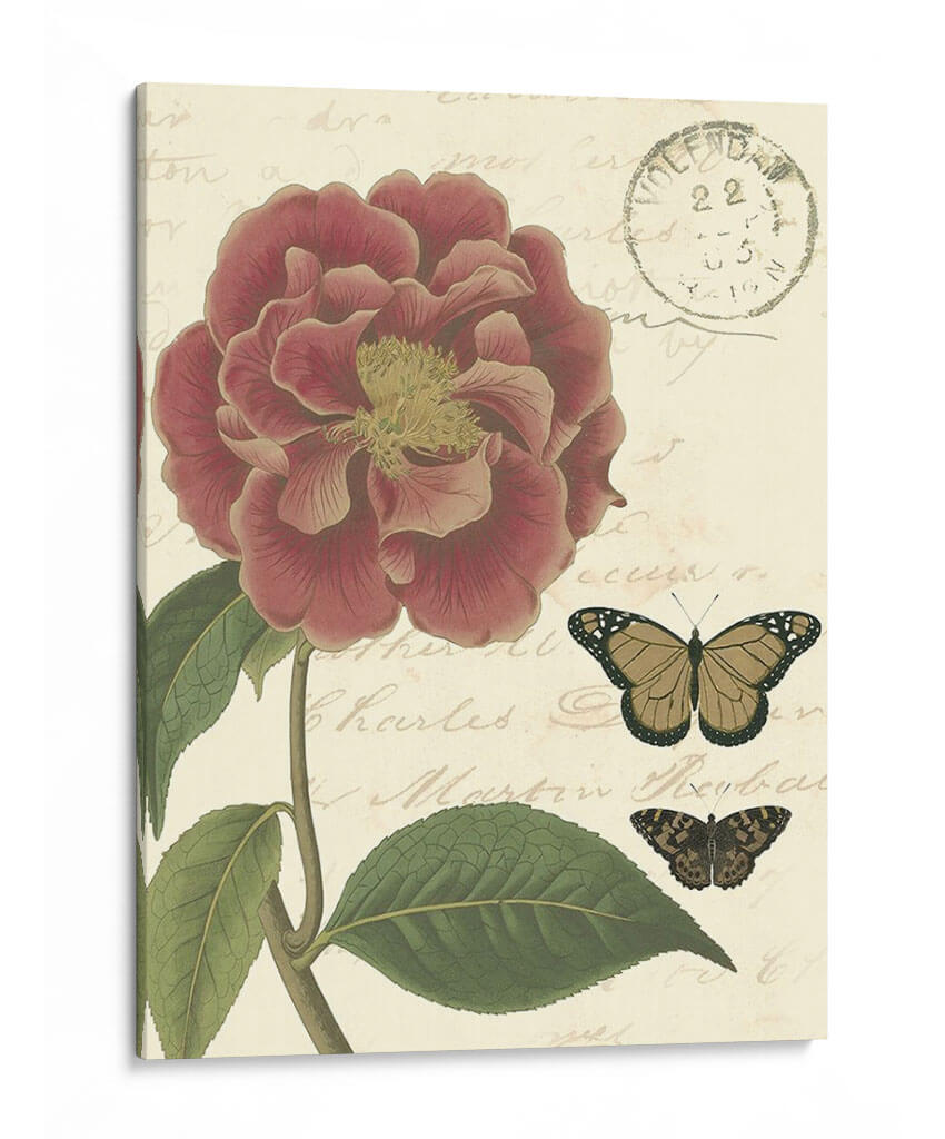 Pequeño Vintage Floral Iii - Vision Studio | Cuadro decorativo de Canvas Lab