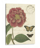 Pequeño Vintage Floral Iii - Vision Studio | Cuadro decorativo de Canvas Lab