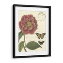 Pequeño Vintage Floral Iii - Vision Studio | Cuadro decorativo de Canvas Lab
