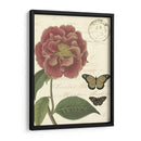 Pequeño Vintage Floral Iii - Vision Studio | Cuadro decorativo de Canvas Lab