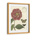 Pequeño Vintage Floral Iii - Vision Studio | Cuadro decorativo de Canvas Lab