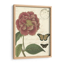 Pequeño Vintage Floral Iii - Vision Studio | Cuadro decorativo de Canvas Lab
