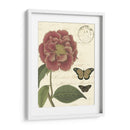 Pequeño Vintage Floral Iii - Vision Studio | Cuadro decorativo de Canvas Lab