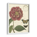 Pequeño Vintage Floral Iii - Vision Studio | Cuadro decorativo de Canvas Lab