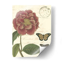 Pequeño Vintage Floral Iii - Vision Studio | Cuadro decorativo de Canvas Lab