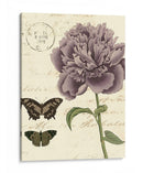 Pequeño Vintage Floral Iv - Vision Studio | Cuadro decorativo de Canvas Lab