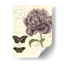 Pequeño Vintage Floral Iv - Vision Studio | Cuadro decorativo de Canvas Lab
