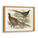 Variedades Faisanes V - Vision Studio | Cuadro decorativo de Canvas Lab