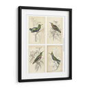 Colibríes De Jardine | Cuadro decorativo de Canvas Lab