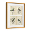 Colibríes De Jardine | Cuadro decorativo de Canvas Lab