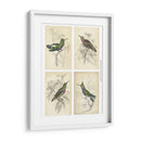 Colibríes De Jardine | Cuadro decorativo de Canvas Lab