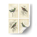 Colibríes De Jardine | Cuadro decorativo de Canvas Lab