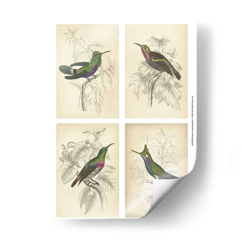 Colibríes De Jardine | Cuadro decorativo de Canvas Lab