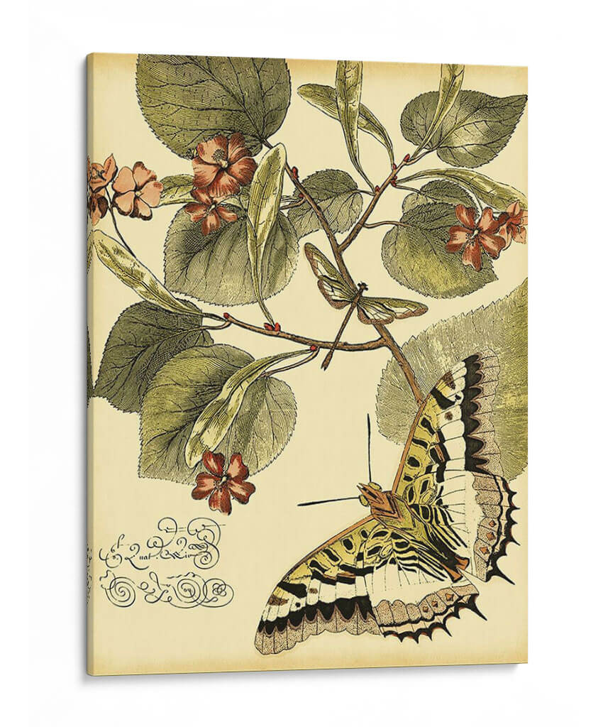 Mini Mariposas Caprichosas I - Vision Studio | Cuadro decorativo de Canvas Lab