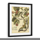 Mini Mariposas Caprichosas I - Vision Studio | Cuadro decorativo de Canvas Lab