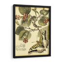 Mini Mariposas Caprichosas I - Vision Studio | Cuadro decorativo de Canvas Lab