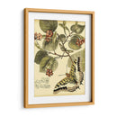 Mini Mariposas Caprichosas I - Vision Studio | Cuadro decorativo de Canvas Lab