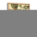 Mini Mariposas Caprichosas I - Vision Studio | Cuadro decorativo de Canvas Lab