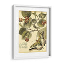 Mini Mariposas Caprichosas I - Vision Studio | Cuadro decorativo de Canvas Lab